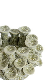 Detailansicht eines kunstvoll gestalteten Teelichthalters mit organischen Formen und punktförmigen Mustern.