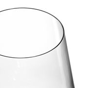 Nahaufnahme eines eleganten Rotweinglases Puccini mit klaren Linien und glattem Rand, von oben betrachtet.