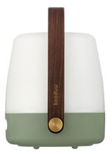 Frontansicht einer modernen, tragbaren Lampe mit Holzgriff und grünem Sockel.