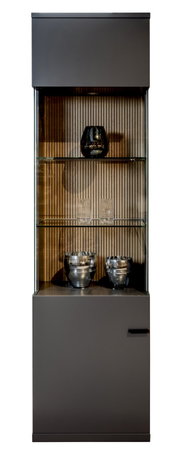 Moderne Vitrine mit Glasregalen und dekorativen Objekten, frontal betrachtet.