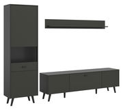 Wohnkombination in dunklem Design, bestehend aus einem hohen Schrank, einem langen TV-Schrank und einem Wandregal, frontal betrachtet.