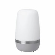 LED Outdoor Leuchte -SPIRIT- P, frontalansicht, modernes Design mit weißem Diffusor und grauem Sockel