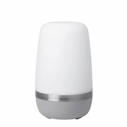 LED Outdoor Leuchte -SPIRIT- P, frontalansicht, modernes Design mit weißem Diffusor und grauem Sockel