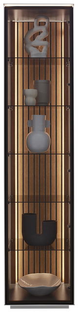 Vitrine mit moderner Dekoration, frontal betrachtet, mit beleuchtetem Holzrückwand und stilvollen Objekten.