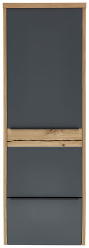 Frontansicht eines modernen Hängegarderobenschranks mit dunkler Front und Holzrahmen.