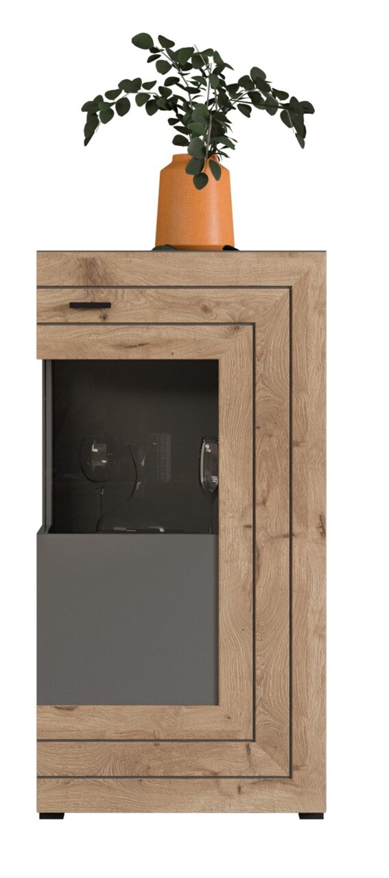 Standschrank aus Holz mit Glastür, dekoriert mit einer Pflanze in einem orangefarbenen Topf, Frontalansicht