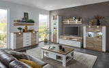 Modernes Wohnzimmer mit Wandboard in Holzoptik, dekoriert mit Pflanzen und Kunstobjekten, seitliche Perspektive.