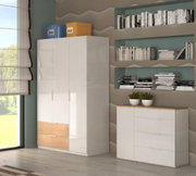 Moderne woonkamerset met een witte kledingkast en een bijpassende ladekast met accenten in houtlook, versierd met dozen, boeken en planten; perspectief: licht schuin van voren (vooraanzicht/zijaanzicht)