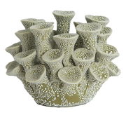 Dekoratives Teelicht in Form eines Korallenriffs, aus der Vorderansicht fotografiert.