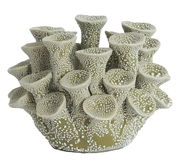 Dekoratives Teelicht in Form eines Korallenriffs, aus der Vorderansicht fotografiert.