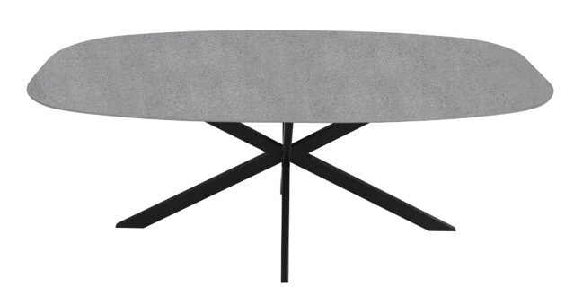 Z2 Esstisch FERDINAND Moderner Esstisch mit grauer Tischplatte und schwarzem Metallgestell, Ansicht von vorne.