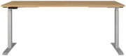Elektrisch höhenverstellbarer Schreibtisch mit Holzplatte und Metallbeinen, Frontalansicht