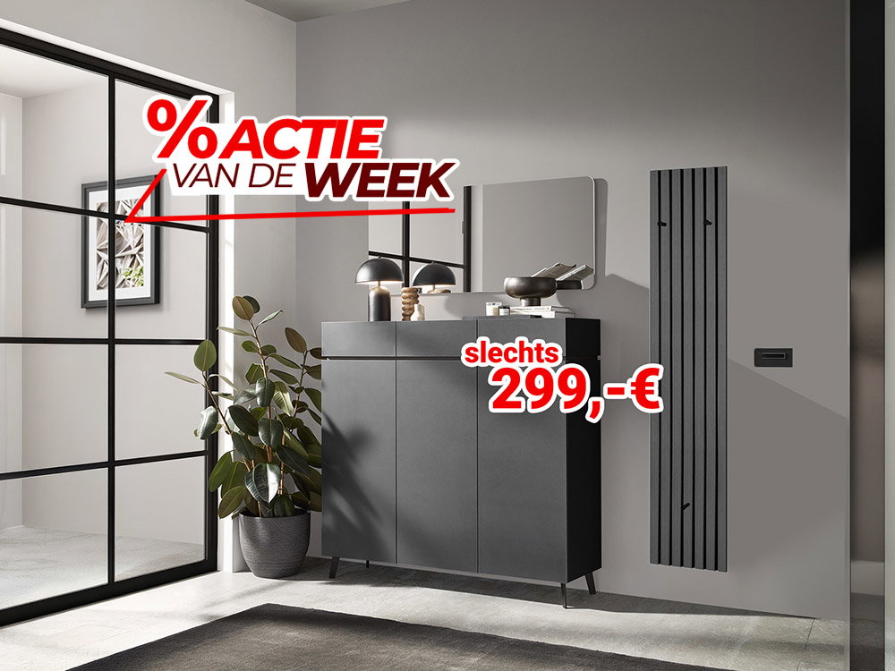 Moderne hal met zwart dressoir en radiator in aanbieding voor €299.