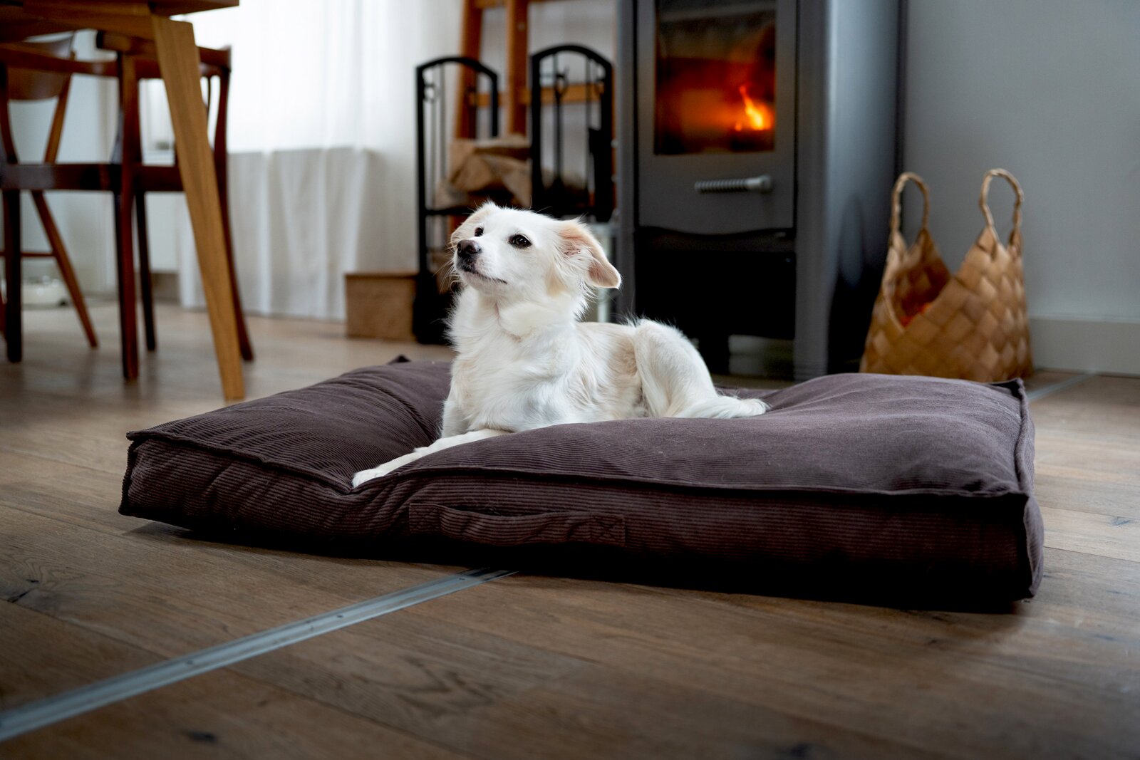 Een donkerbruin, rechthoekig hondenkussen in de woonkamer, met daarop een kleine witte hond die voor een houtkachel ligt perspectief: vooraanzicht vanaf de grond, licht van links.