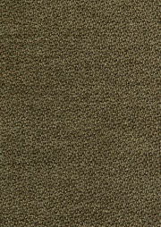 Nahaufnahme eines strukturierten, olivgrünen Stoffes, verwendet für Longchairkombination.