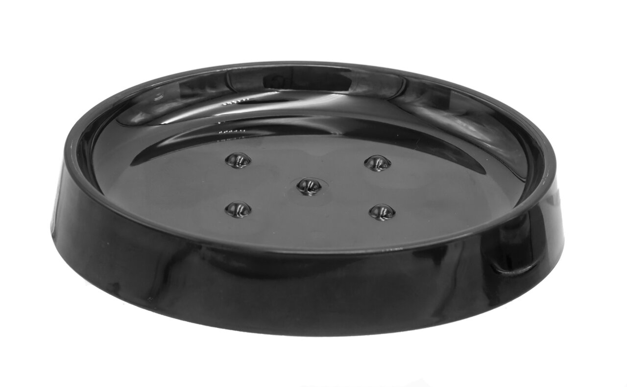 Zurbrüggen Seifenschale WINDOWS Transparente Seifenschale aus Kunststoff mit erhöhtem Rand und Abflusslöchern, seitliche Perspektive