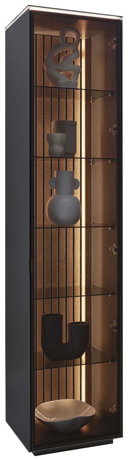 Dieter Knoll Vitrine RIANI Moderne Vitrine mit Glasregalen und dekorativen Objekten, seitliche Perspektive