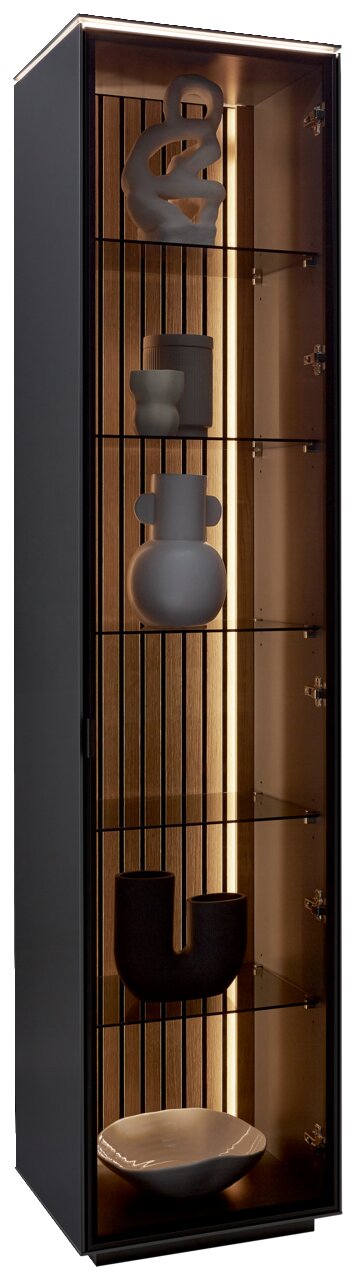 Dieter Knoll Vitrine RIANI Moderne Vitrine mit Glasregalen und dekorativen Objekten, seitliche Perspektive