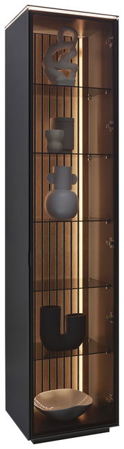 Moderne Vitrine mit Glasregalen und dekorativen Objekten, seitliche Perspektive