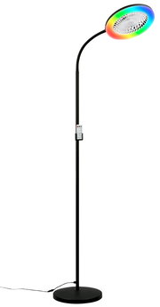 Schwarze Stehlampe mit gebogenem Arm und rundem LED-Leuchtring in Regenbogenfarben, integrierter Ventilator im Lampenkopf und Fernbedienung am Ständer, freigestellt auf weißem Hintergrund, frontale Produktansicht.