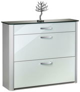 Moderner Schuhschrank mit glänzender Glasfront und Metallgriffen, frontal fotografiert.