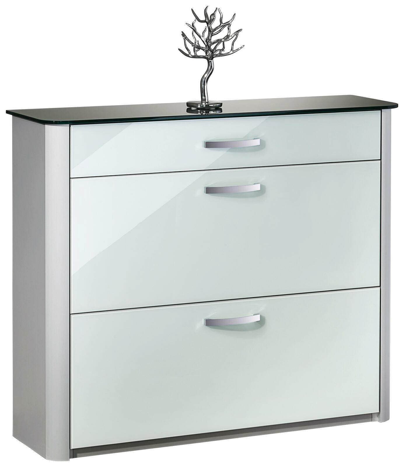 Moderner Schuhschrank mit glänzender Glasfront und Metallgriffen, frontal fotografiert.