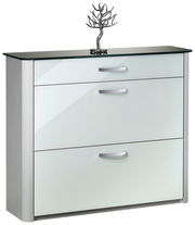 Moderner Schuhschrank mit glänzender Glasfront und Metallgriffen, frontal fotografiert.