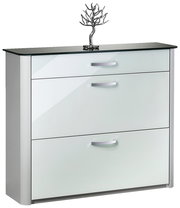 Moderner Schuhschrank mit glänzender Glasfront und Metallgriffen, frontal fotografiert.