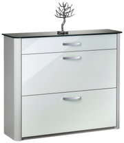 Moderner Schuhschrank mit glänzender Glasfront und Metallgriffen, frontal fotografiert.