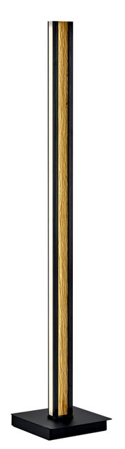 LED-staande lamp met zwart frame en gouden structuur, gezien vanaf de voorkant.