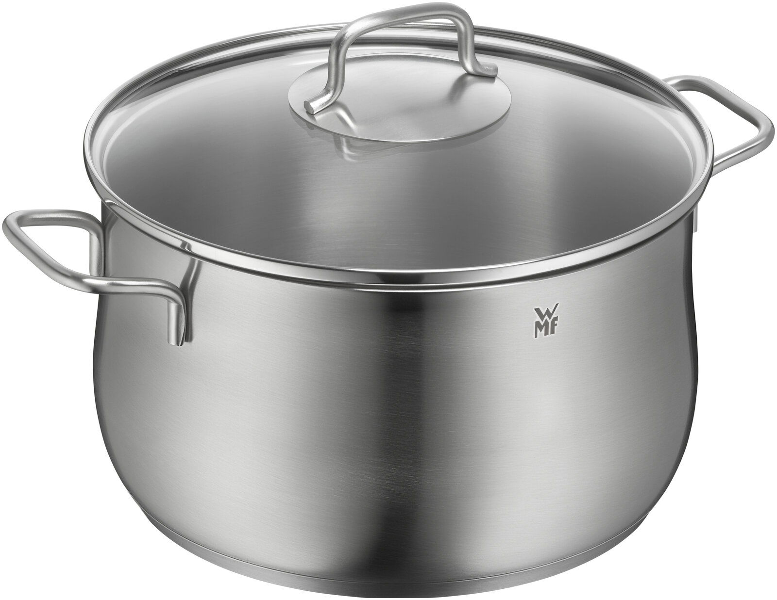 Edelstahlkochtopf mit Deckel, seitliche Perspektive