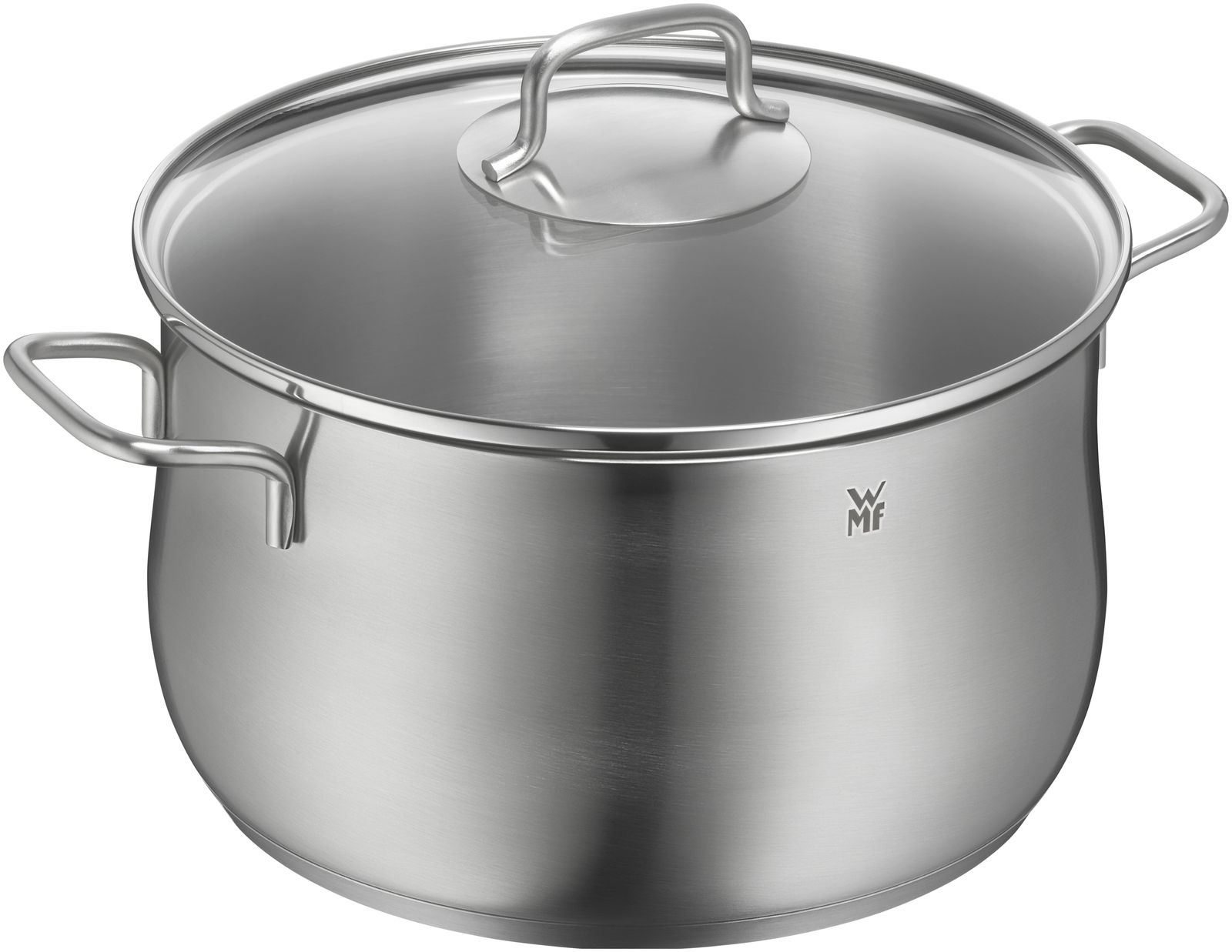 Edelstahlkochtopf mit Deckel, seitliche Perspektive
