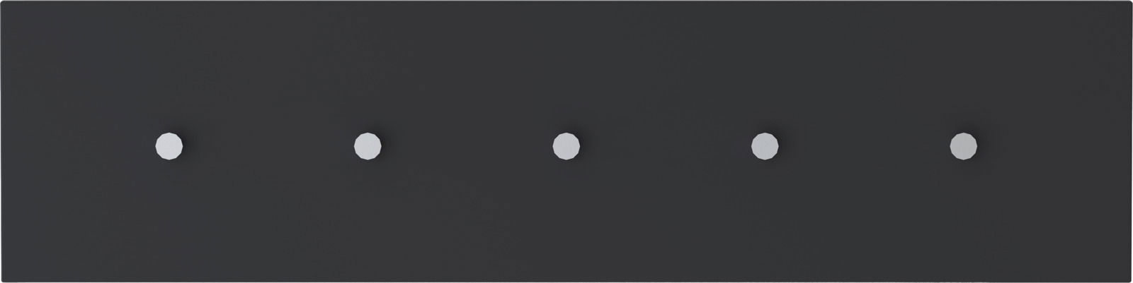 Schwarze Hakenleiste mit fünf silbernen Haken, frontal betrachtet.