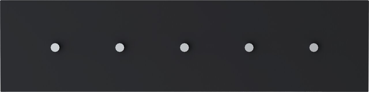 Moderano Hakenleiste LECCO Schwarze Hakenleiste mit fünf silbernen Haken, frontal betrachtet.