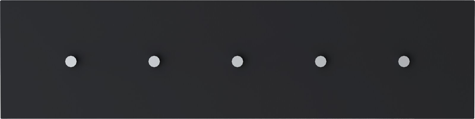 Moderano Hakenleiste LECCO Schwarze Hakenleiste mit fünf silbernen Haken, frontal betrachtet.