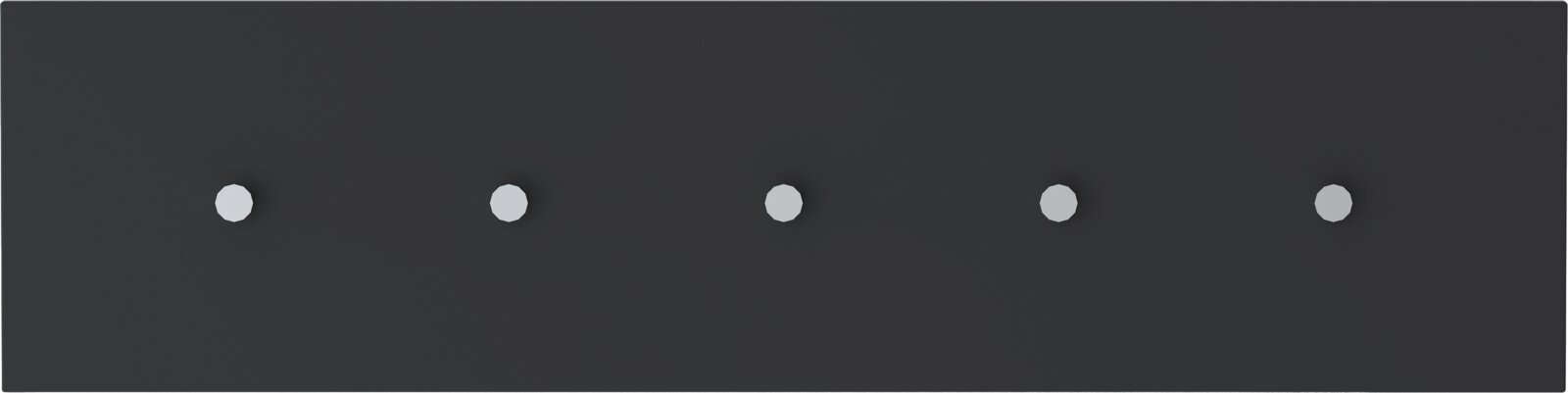 Schwarze Hakenleiste mit fünf silbernen Haken, frontal betrachtet.