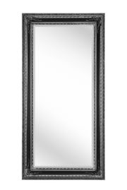 Rechteckiger Spiegel mit aufwendig verziertem, dunklem Rahmen, frontal abgebildet.