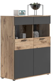 Vitrine aus Holz und dunklem Material mit zwei Schubladen und zwei Türen, dekoriert mit Pflanzen und Kunstobjekten, seitliche Perspektive