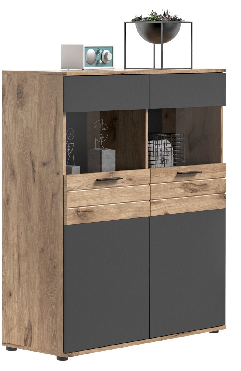 Vitrine aus Holz und dunklem Material mit zwei Schubladen und zwei Türen, dekoriert mit Pflanzen und Kunstobjekten, seitliche Perspektive