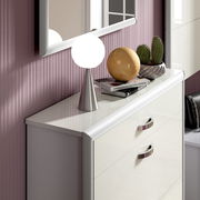 Schuhschrank in moderner Hochglanzoptik mit dekorativer Tischlampe und Pflanzen, seitliche Perspektive