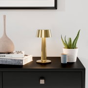 Goudkleurige, moderne tafellamp van metaal op een zwart dressoir, van voren gefotografeerd vanuit een licht verhoogd perspectief, naast boeken, een vaas en een potplant voor een lichte muur