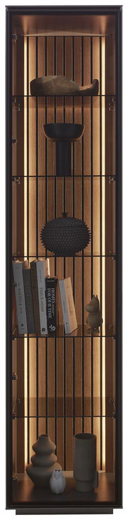 Vitrine mit Holzrückwand und integrierter Beleuchtung, gefüllt mit Büchern und dekorativen Objekten, Frontalansicht