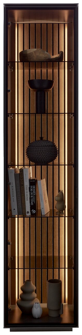 Vitrine met houten achterwand en ingebouwde verlichting, gevuld met boeken en decoratieve voorwerpen, vooraanzicht