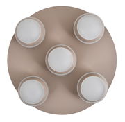 LED-Deckenleuchte mit fünf runden Lichtquellen, Ansicht von oben