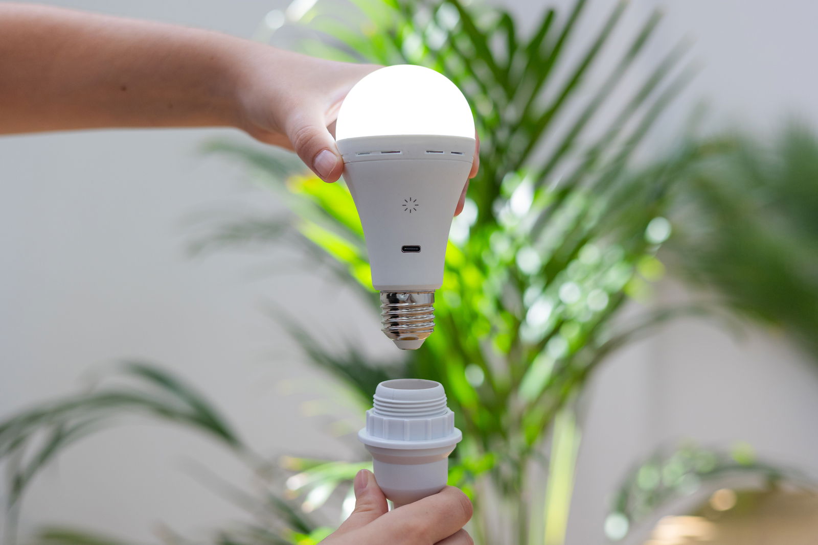 Perspektive von der Seite: Eine Hand hält ein leuchtendes Akku-Leuchtmittel über einer Fassung, umgeben von grünen Pflanzen im Hintergrund.