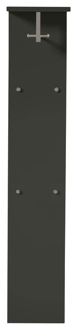 Frontale Ansicht eines breiten, modernen Garderobenpaneels in dunkler Farbe mit Haken und Ablage.