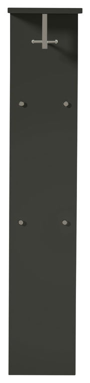 Frontale Ansicht eines breiten, modernen Garderobenpaneels in dunkler Farbe mit Haken und Ablage.