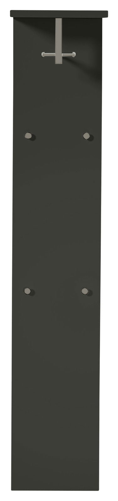 Frontale Ansicht eines breiten, modernen Garderobenpaneels in dunkler Farbe mit Haken und Ablage.