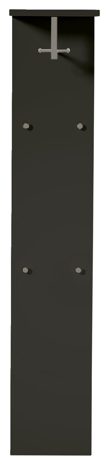 Frontale Ansicht eines breiten, modernen Garderobenpaneels in dunkler Farbe mit Haken und Ablage.