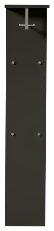 Frontale Ansicht eines breiten, modernen Garderobenpaneels in dunkler Farbe mit Haken und Ablage.